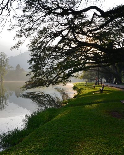Hotel SunPrime - Top Nearby Place - Lake Garden